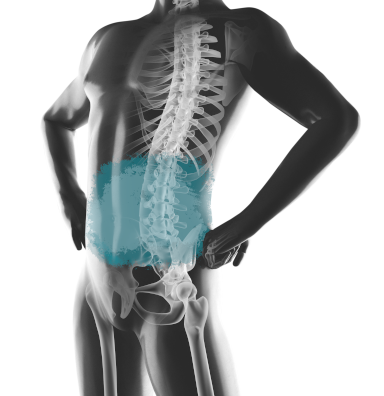 Abdomen MRT Ganzkörper